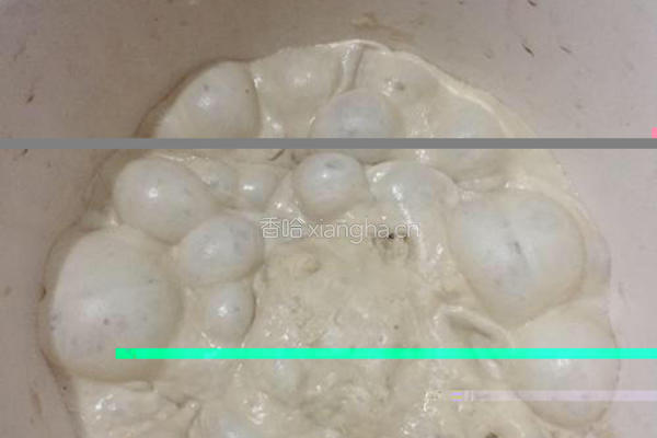 一次发酵的红糖吐司*波兰酵头的做法图解4