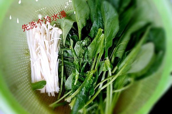 金针绘翠（凉拌金针菇菠菜)的做法图解1