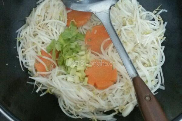 蒜香豆芽的做法图解6