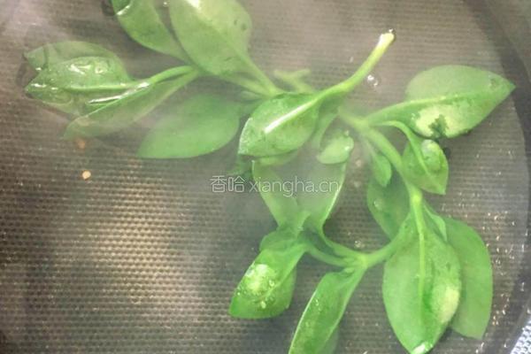 蚝油小炒儿的做法图解3
