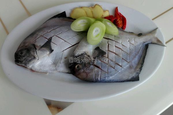 糖醋鲳鱼的做法图解1