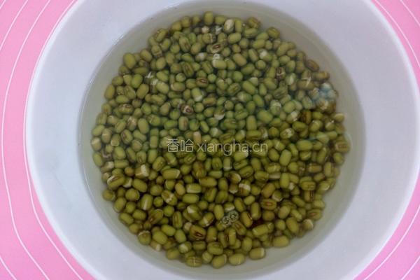 自制豆芽的做法图解2