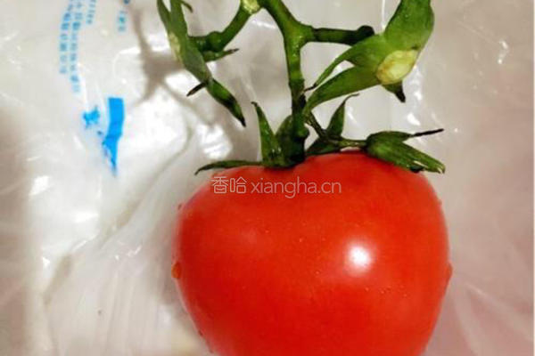 豆腐西红柿鱼汤的做法图解3