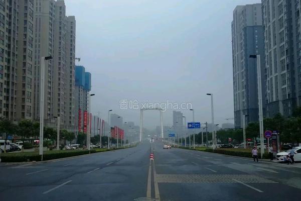 新疆拉条子的做法图解14