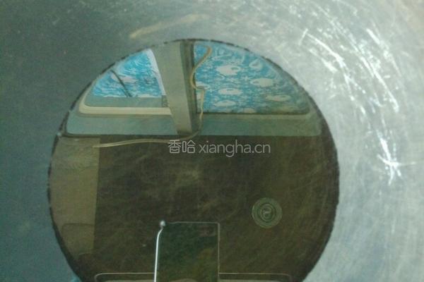 香脆玉米片的做法图解4