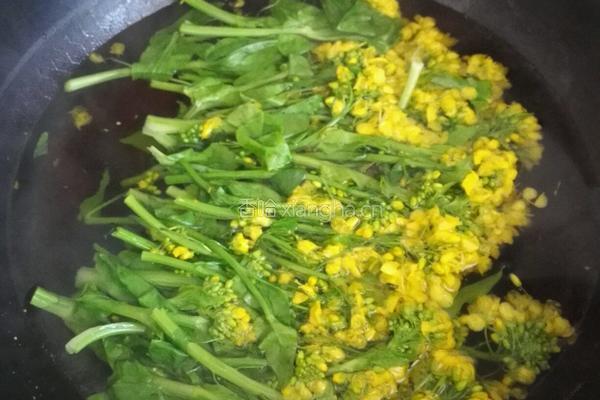 油淋菜苔的做法图解3