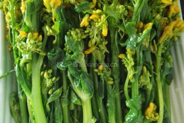 油淋菜苔的做法图解7