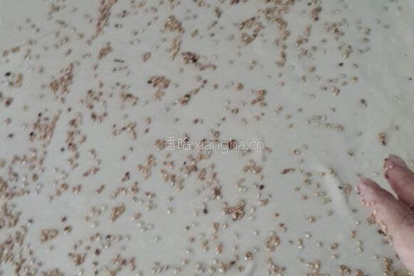 葱花芝麻千层饼的做法图解3