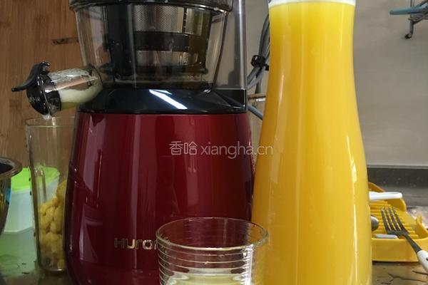 鲜榨菠萝汁的做法图解4