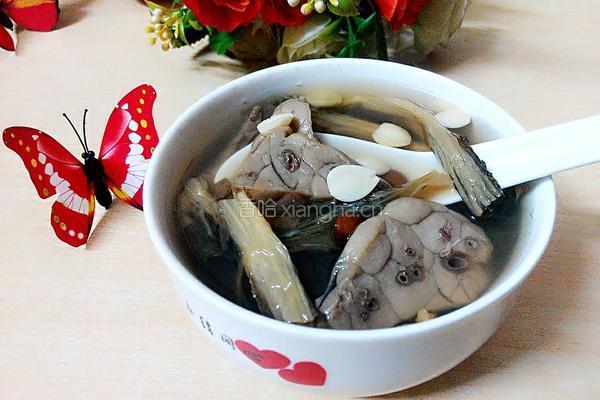 菜干南北杏煲猪肺汤的做法图解9
