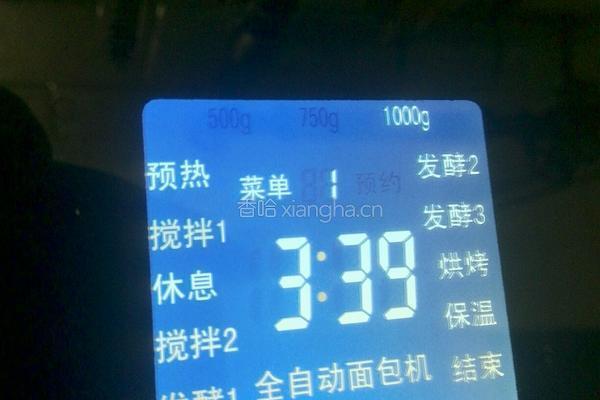 中种椰蓉超软土司的做法图解6