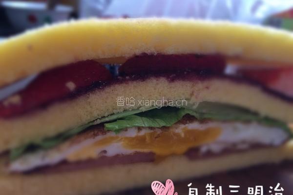 午餐肉三明治的做法图解4