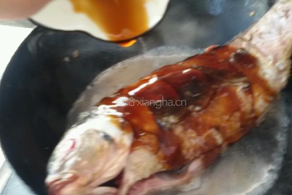 红酒蘑菇炖鲤鱼的做法图解6