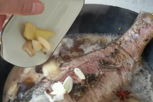 红酒蘑菇炖鲤鱼的做法图解8