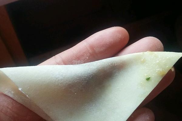 重庆小吃（老麻抄手）的做法图解9