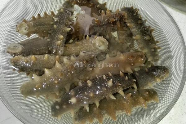 海参泡发方法的做法图解4