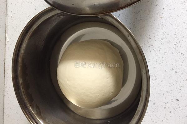 菜鸟如何用酵母发面团的做法图解7