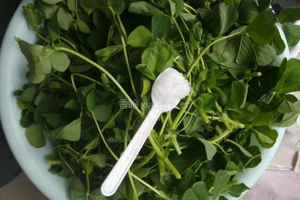 凉拌苜蓿（草头）的做法图解2