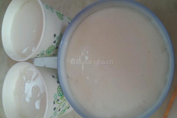 双皮奶的做法图解5