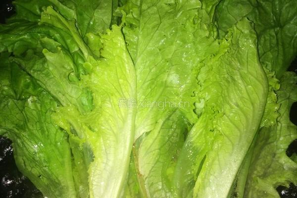 玉米生菜的做法图解4