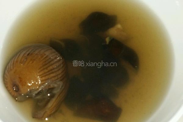 鸡骨草猪横脷煲坑螺的做法图解7