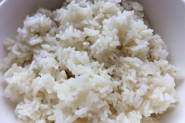 芝士焗饭的做法图解3