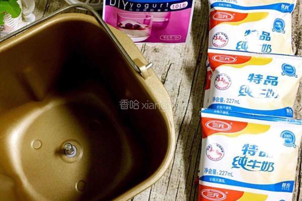 自制酸奶的做法图解1