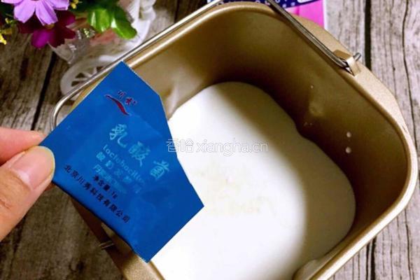 自制酸奶的做法图解2