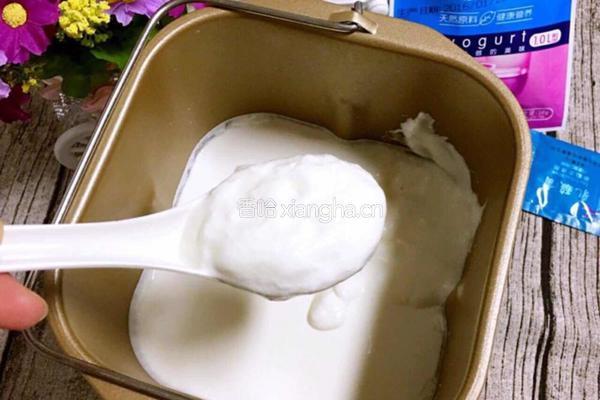 自制酸奶的做法图解4