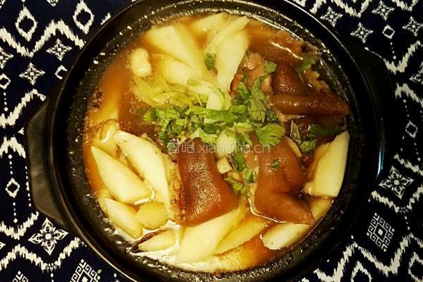 药膳山药炖猪蹄的做法图解15