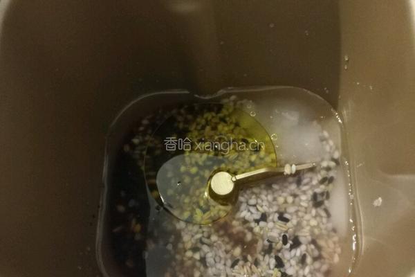 高纤十谷米蔓越莓土司的做法图解1