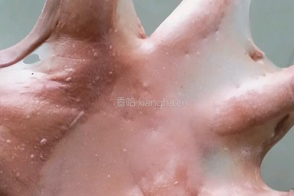可可麻薯软欧的做法图解9