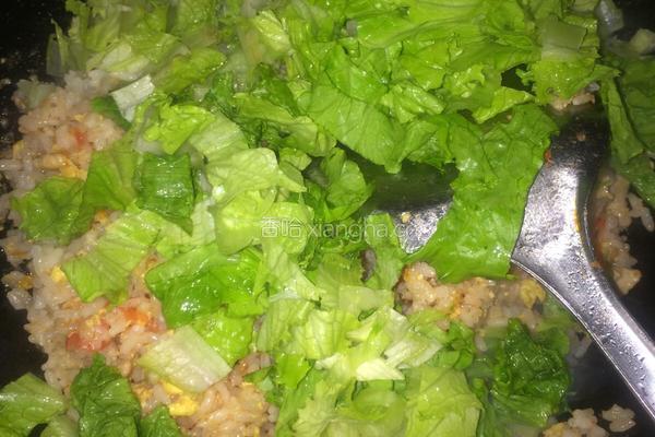 西红柿鸡蛋炒饭的做法图解11