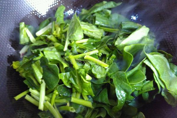 蒜末菠菜的做法图解4