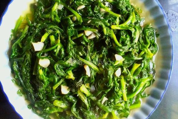 蒜香菊花菜的做法图解4
