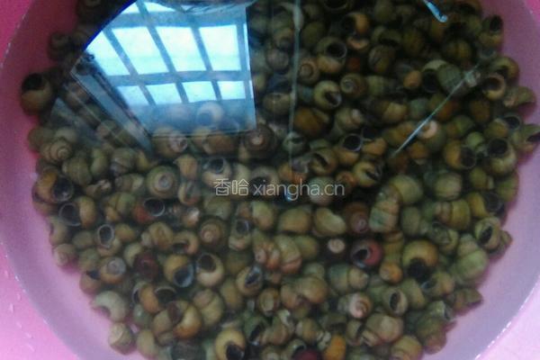 香辣螺丝的做法图解1