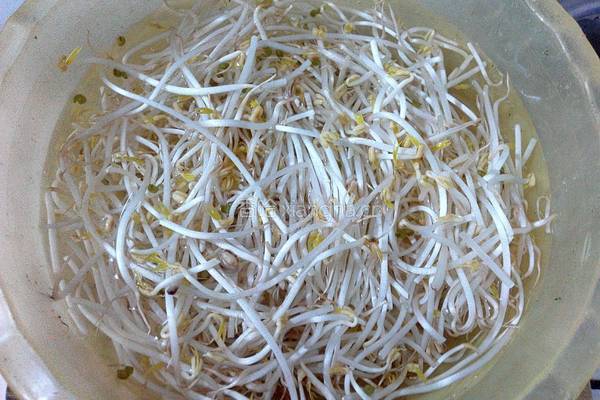 瘦肉炒豆芽的做法图解2