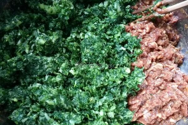 猪肉小白菜水饺的做法图解4