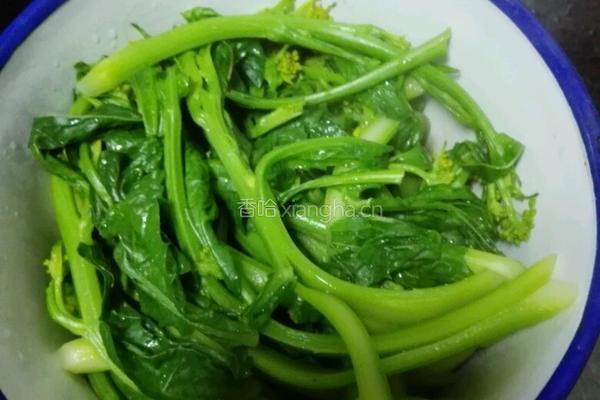 冲菜的做法图解4