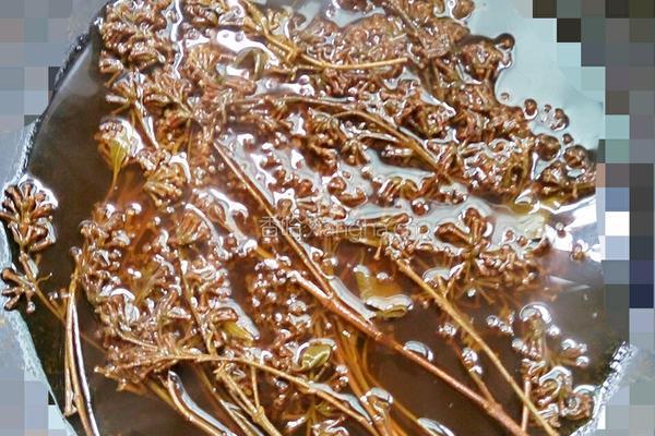 万里飘香黄色糯米饭的做法图解2