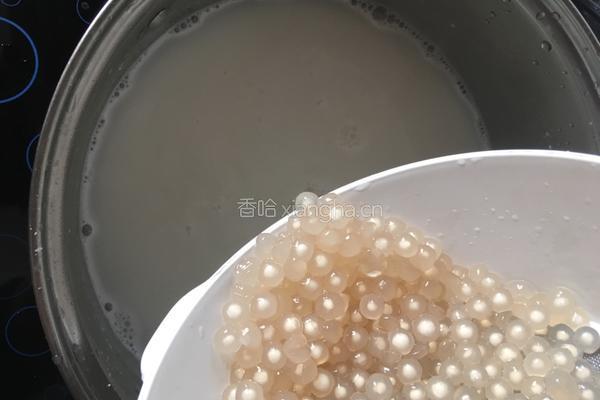 木瓜椰汁西米露的做法图解7