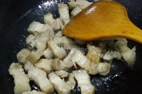 红烧肉炖粉条白菜的做法图解4
