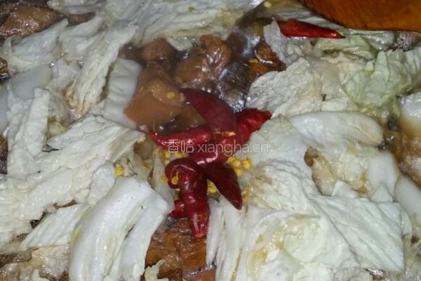 红烧肉炖粉条白菜的做法图解10