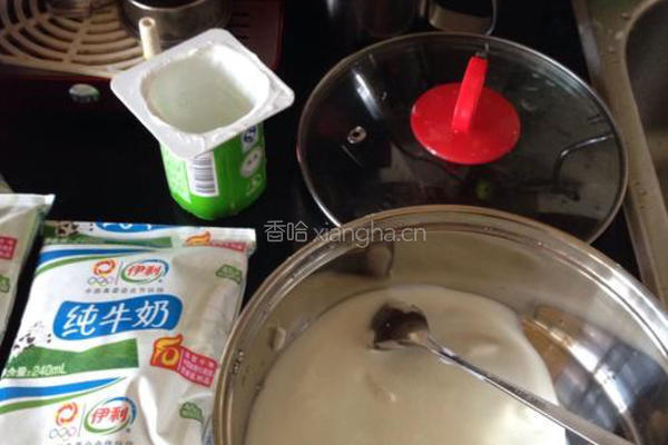 自制酸奶的做法图解3