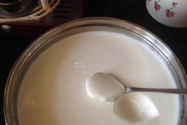 自制酸奶的做法图解7