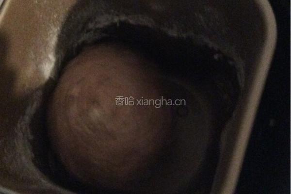 蔓越莓软欧餐包的做法图解2