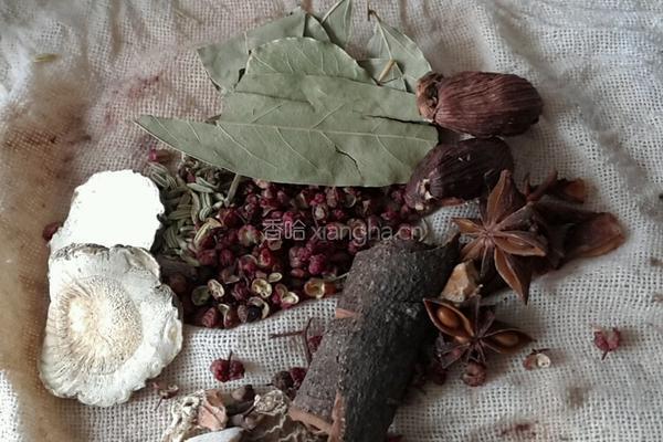酱羊蝎子的做法图解5