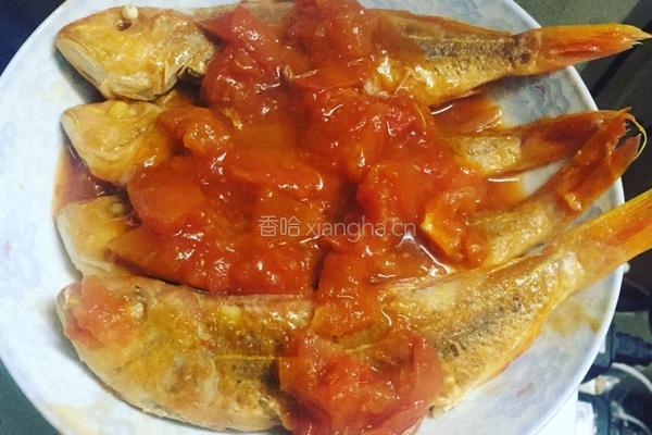 蕃茄煮红衫鱼的做法图解7