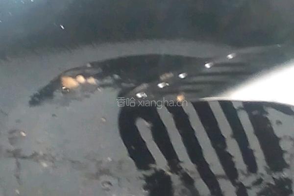 酸辣土豆片的做法图解2