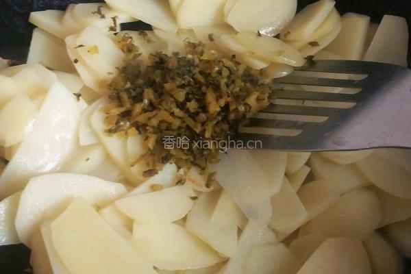 酸辣土豆片的做法图解4